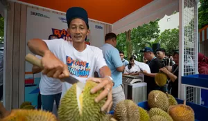 Cerita Sukses Kelompok Petani Durian di Pekalongan, Semakin Berkembang Berkat Pemberdayaan BRI