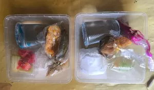 Bansos Permakanan Buat Seribu Orang Lansia di Purwakarta Porsinya Serba Minim