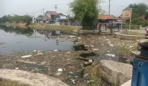 DLH Telusuri Dugaan Pencemaran Sungai Citarum Karawang oleh Pabrik di Wilayah Purwakarta 