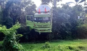 ODGJ Dengar Bisikan Gaib, Curi Mobil Limbah dan Nyusruk ke Sawah