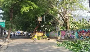 Bahayakan Pengguna Jalan, Sejumlah Pohon Di Palabuhanratu Sukabumi Dipangkas