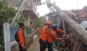 Imbas Hujan Deras dan Angin Kencang di Bogor, Sejumlah Rumah Warga Alami Kerusakan