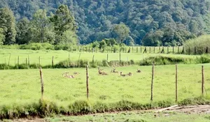 5 Destinasi Wisata di Ciwidey Bandung dengan Pemandangan Alam Terbaik untuk Healing