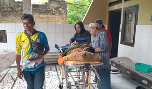 Sedang Evakuasi, Relawan BPBD Sukabumi Malah Tertimpa Dahan Pohon Tumbang, Begini Kondisinya