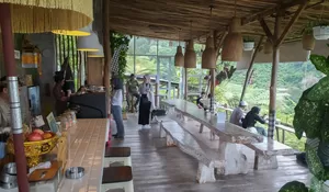 Pakis Hills Eco Park Puncak Bogor, Rekomendasi Tempat Healing dengan Pemandangan 360 Derajat Dikelilingi Pakis yang Asri