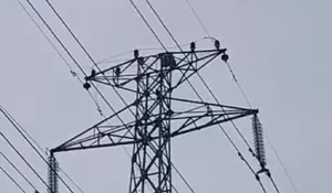 Seorang Gadis di Bojonggede Nekat Naik Menara Sutet, Bikin Gempar Warga Pagi-pagi