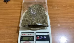 Miliki Daun dan Biji Ganja, Pria di Kemang Diringkus Poliisi, Diduga Akan Ditanam