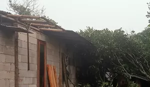 Pohon Tumbang dan Angin Kencang Sapu Rumah Warga Jampangtengah Sukabumi