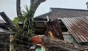 Dahan Pohon Sepanjang 7 Meter Patah Timpa Tembok Pembatas Polsek Bogor Utara hingga Roboh