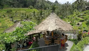 Daftar Cafe di Bali yang Menawarkan View Sawah Mempesona, Buat Dikunjungi Saat Liburan