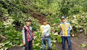 Hujan Lebat, Tebing di Simpenan Sukabumi Longsor, Akses Jalan Terputus