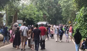 Libur Nataru, 5.000 Pengunjung Padati Kebun Raya Bogor, Didominasi Wisatawan asal Jabodebek