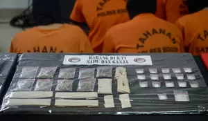 Polisi Tangkap 423 Pengedar Narkoba di Bogor, Segini Barang Buktinya
