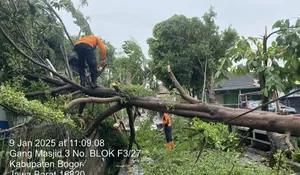 Posyandu di Cileungsi Bogor Tertimpa Pohon Tumbang, Pelayanan Dipindah ke Rumah Ketua RT