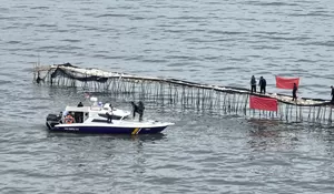 Pagar Laut 30 KM Dikaitkan dengan Proyek Strategis Nasional, Ini Deretan Nama Besar yang Diduga Terlibat!