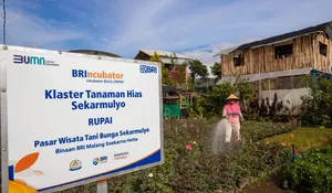 10 Pencapaian BRI Sepanjang Tahun 2024, jadi Bukti Nyata Dorong Ekonomi Kerakyatan yang Inklusif