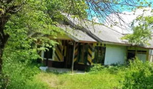 Hii.. Geger Mayat Membusuk di Rumah Kosong Dekat Kebun Karet di Ujunggenteng Sukabumi