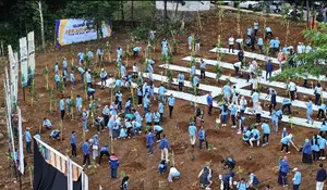 Pemkab Bogor Tanam Pohon Bareng KLHK di Gunung Mas Puncak
