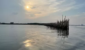 Aliansi Gerakan Reformasi Agraria Sebut Pembongkaran Pagar Laut di Tangerang Hanya 'Gimik'