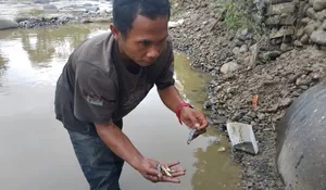 Sungai Cikaniki Kembali Tercemar Akibat Tambang Emas Ilegal, Ini Kata DLH Bogor