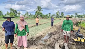 Kisah Petani di Merauke yang Produktivitasnya Semakin Meningkat Berkat Program Pemberdayaan Klaster Usaha dari BRI
