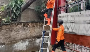 Akses Jalan di Pabuaran Cibinong Sempat Tertutup Pohon Tumbang Akibat Hujan Deras Disertai Angin Kencang