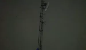 Damkar Nggak Ada Matinya, Naik ke Tower 20 Meter Evakuasi Sarang Tawon