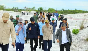 Kerusakan Lingkungan di Katingan Kalimantan Tengah Hampir Seluas Satu Kota Jakarta