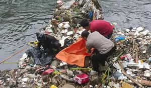 Miris! Warga Margajaya Temukan Jasad Bayi Tersangkut di Tumpukan Sampah Aliran Sungai Cisindangbarang Bogor