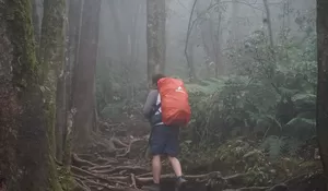 Anggota Mapala Diduga Hilang di Gunung Joglo Puncak Bogor saat Pendakian