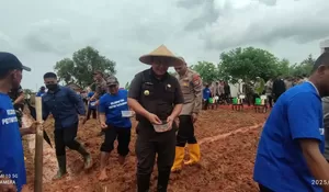 Kejar Swasembada Pangan 2025, Kabupaten Bekasi Siapkan 70 Hektare Lahan Tanam Jagung