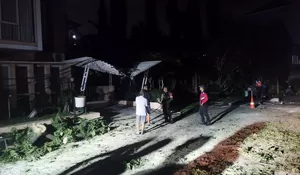 Perumahan di Pamoyanan Bogor Gelap Gulita Imbas Pohon Tumbang Timpa Kabel Listrik