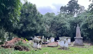 Cuaca Ekstrem Sebabkan Pohon Tumbang di Kebun Raya Bogor, Timpa Enam Makam Belanda, Begini Kondisinya