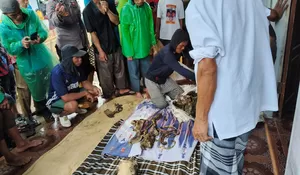 Warga Pabuaran Digegerkan Penemuan Kerangka Manusia, Korban Longsor Sukabumi Desember 2024