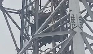 Naik ke Atas Tower Pemancar, Pria Sukabumi Nekat Coba Bunuh Diri, Begini Kondisinya