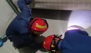 Kaget Lihat Ular Masuk Kamar Mandi, Warga Bojonggede Langsung Minta Tolong Damkar