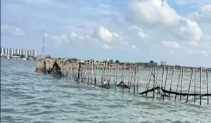 Kepala Desa Kohod Jadi Tersangka Kasus Pagar Laut di Pantai Utara Tangerang