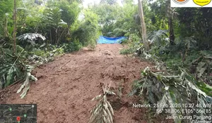 Tebing Setinggi 35 Meter di Puncak Bogor Longsor, Sempat Tutup Akses Jalan