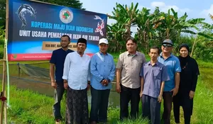 Keren, Pembudidaya Ikan di Ciseeng Bogor Kini Punya Koperasi