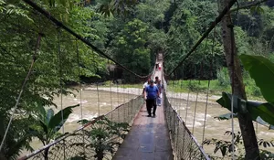 Viral Jembatan Shiratal Mustaqim di Bogor Kondisinya Memprihatinkan, Ini Kata Camat Rumpin