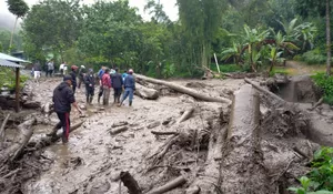 Benarkah Alih Fungsi Lahan Kebun Teh Jadi Biang Kerok Banjir di Puncak Cisarua? Begini Kata PTPN