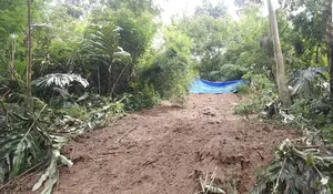 Pemburu Hewan Dikabarkan Hilang Diduga Tertimbun Longsor di Puncak, Ini Kata SAR Bogor