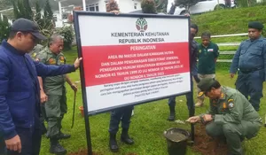 Berdiri di Kawasan Hutan, Sejumlah Vila di Puncak Bogor Disegel