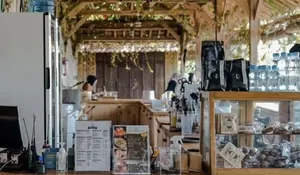 4 Kafe di Bogor dengan Nuansa Alam Menyejukkan yang Dapat Dijadikan Pilihan saat Bukber