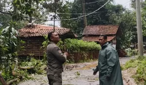 Pohon Tumbang di Karacak Bikin Aliran Listrik Satu Kampung Padam