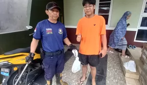 Lihat Ular Koros di Halaman Rumah, Warga Kota Bogor Ketakutan dan Panggil Damkar
