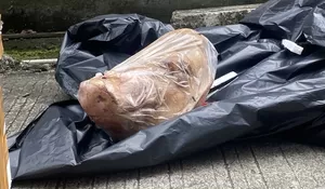 Pemerintah Klaim Kebebasan Pers Dijamin di Tengah Teror Tempo