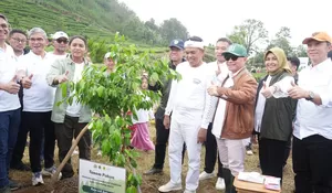Pemkab Bogor Bersama Dedi Mulyadi hingga Kementerian Kehutanan Kompak Tanam Pohon di Puncak Bogor
