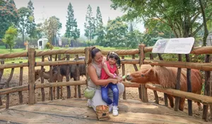 Rayakan Lebaran Berkesan di Royal Safari Garden Puncak Bogor, Ada Paket Komplit Glorious Eid Safari, 3 Hari 2 Malam Cuma Rp3 Jutaan