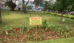 Diusir Berkali-kali, PKL Membandel Jualan di Alun-alun Kota Bogor, Area Taman Berumput jadi Tempat Nongkrong